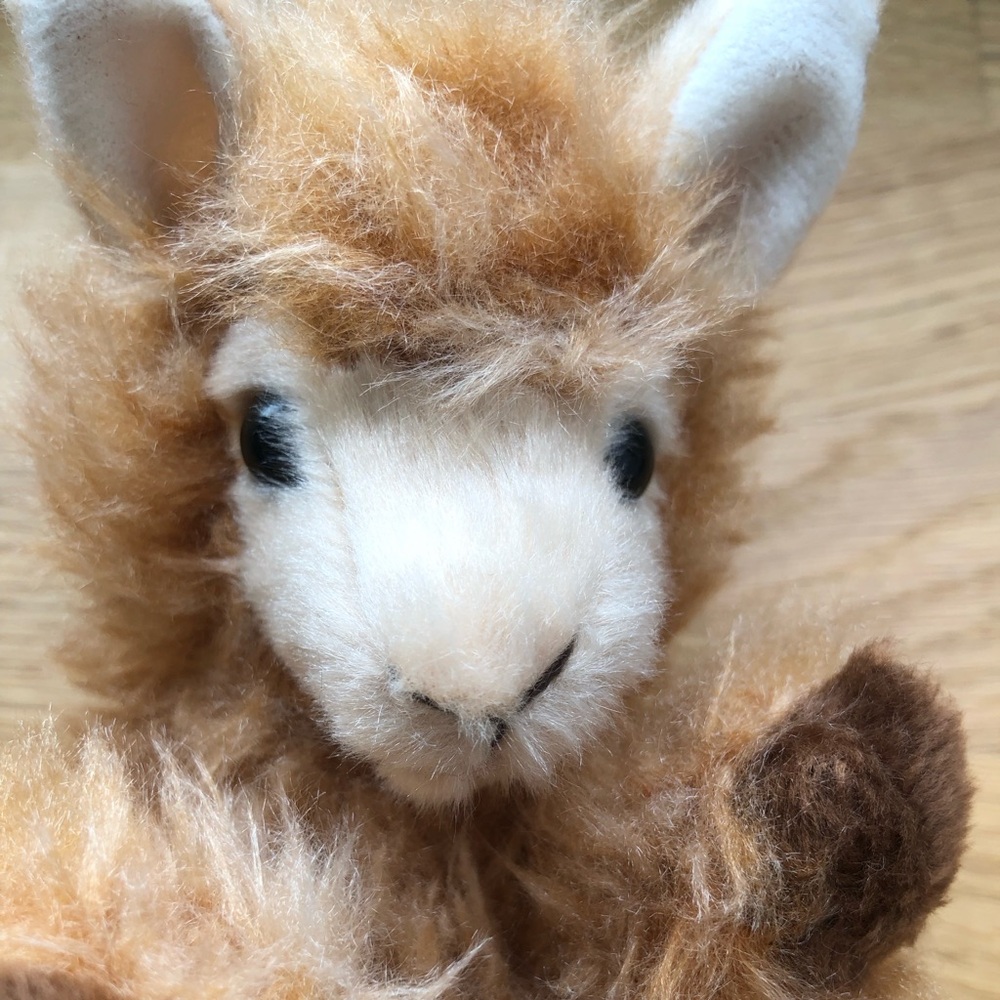 ADORABLE Douglas Cuddle Toys Lil Handful Baby LLama Plushie - Picture 2 of 5